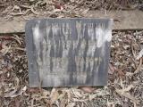 image of grave number 233798